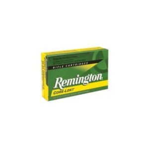 Remington R300WB1 300WBy 180 PSPCL 20rds